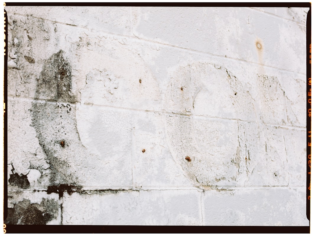 Storm Damage Repair service in Dearborn Heights, MI