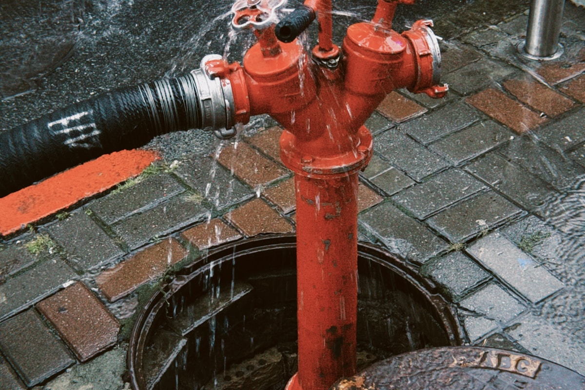 Water Extraction service in Dearborn Heights, MI